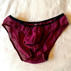 Really Special Custom Mesh Bikini Briefs from Paris